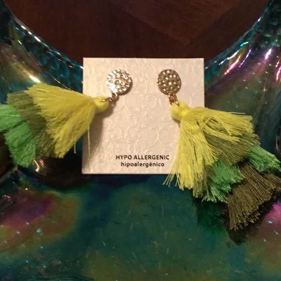 🌼NWT Fun Shades Green Tassel Lightweight Earrings - Picture 3 of 4